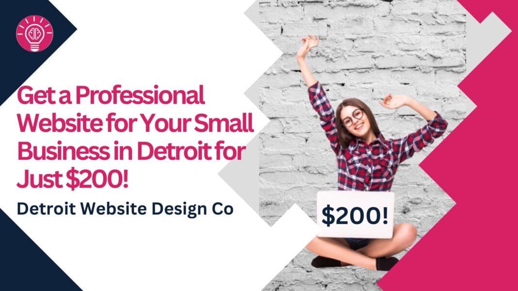 $200 Professional Website Design Detroit